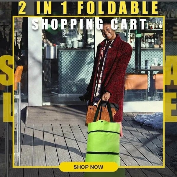 Shopping Organizer Portable Trolley Bag