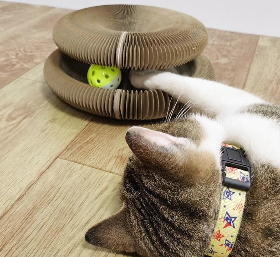 Magic Organ Cat Corrugated Scratching Board