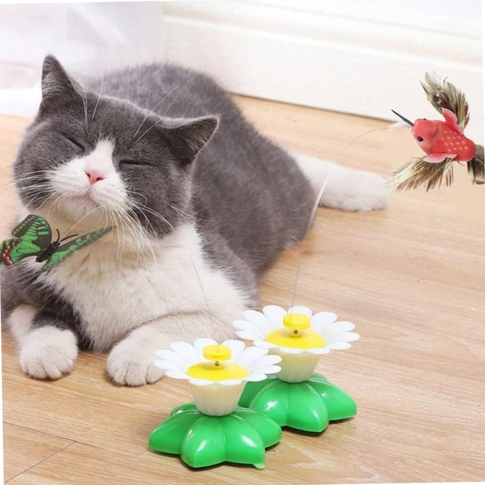 Funny Electric Flower Moving Pet Toys
