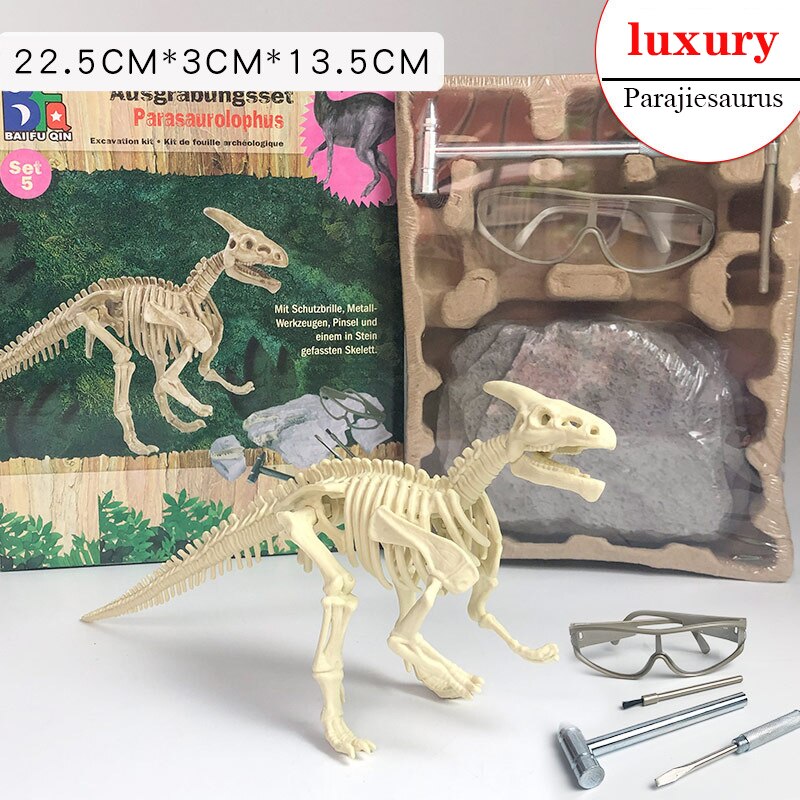 Archaeological Dinosaur Fossil Skeleton Model