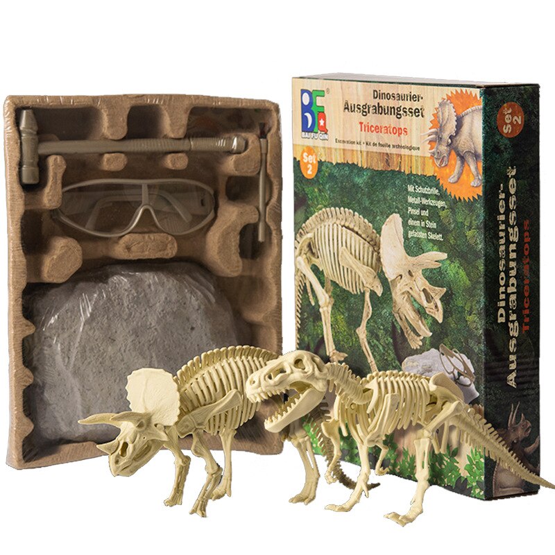 Archaeological Dinosaur Fossil Skeleton Model