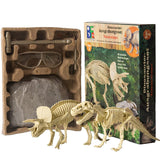 Archaeological Dinosaur Fossil Skeleton Model
