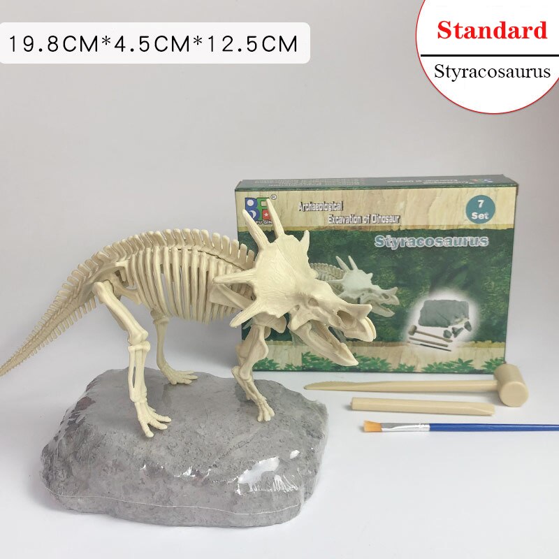 Archaeological Dinosaur Fossil Skeleton Model