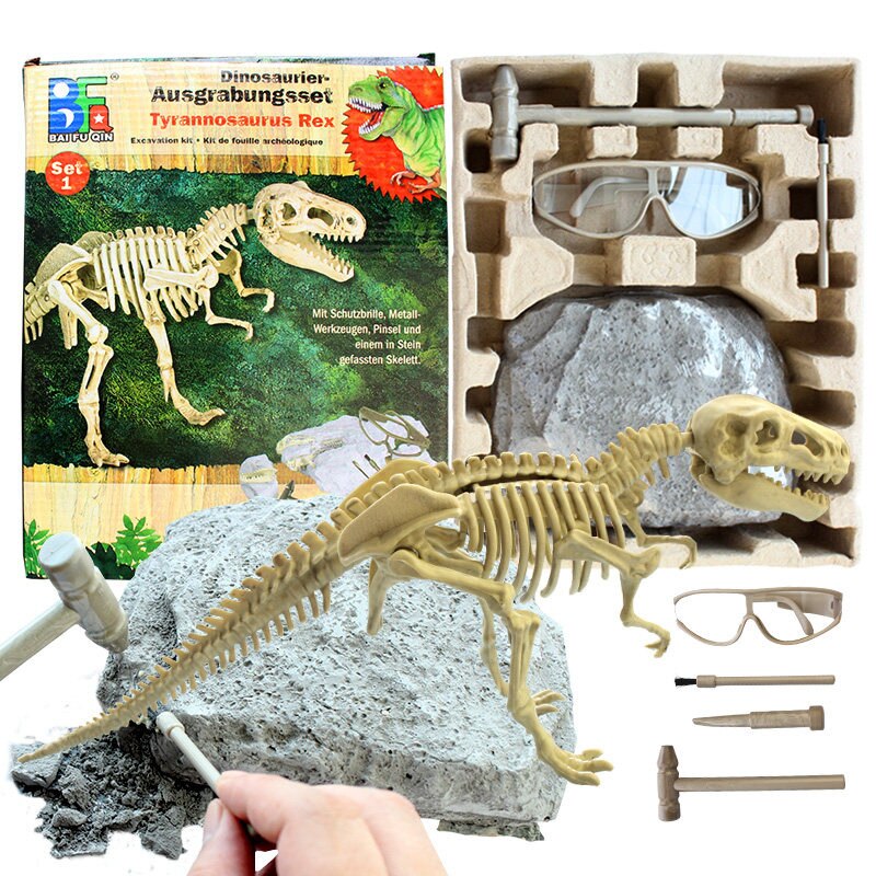 Archaeological Dinosaur Fossil Skeleton Model