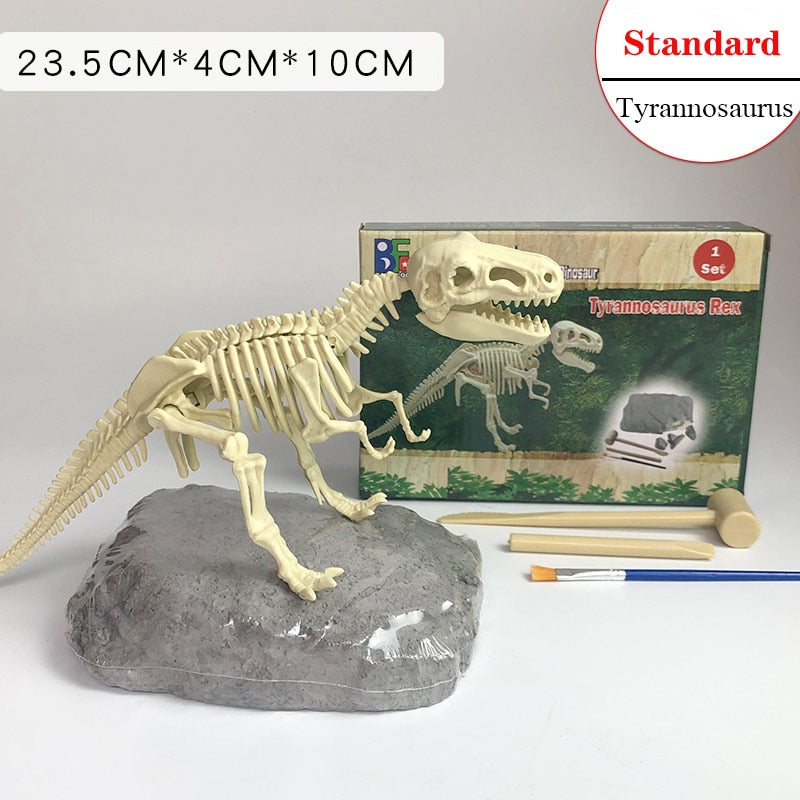 Archaeological Dinosaur Fossil Skeleton Model