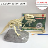 Archaeological Dinosaur Fossil Skeleton Model