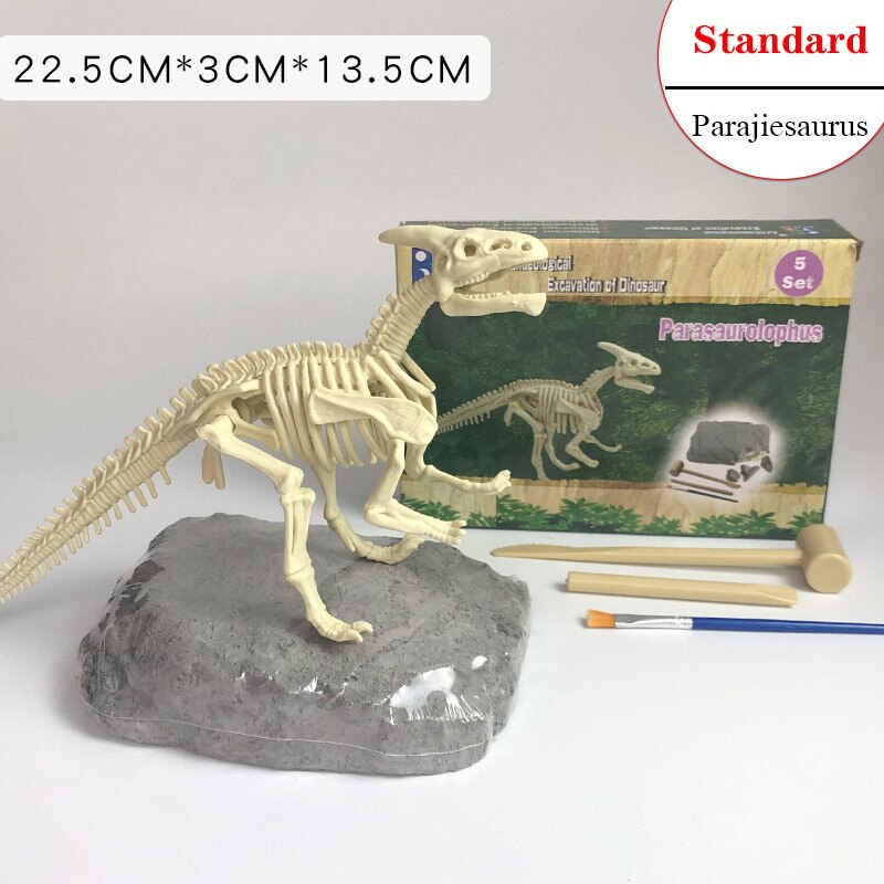 Archaeological Dinosaur Fossil Skeleton Model