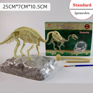 Archaeological Dinosaur Fossil Skeleton Model