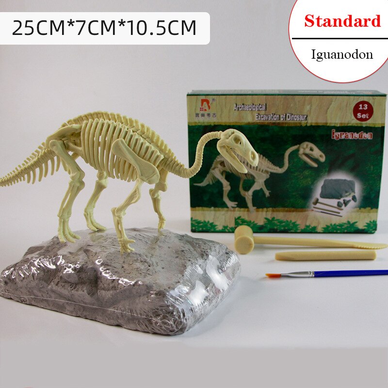 Archaeological Dinosaur Fossil Skeleton Model