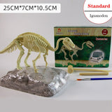 Archaeological Dinosaur Fossil Skeleton Model