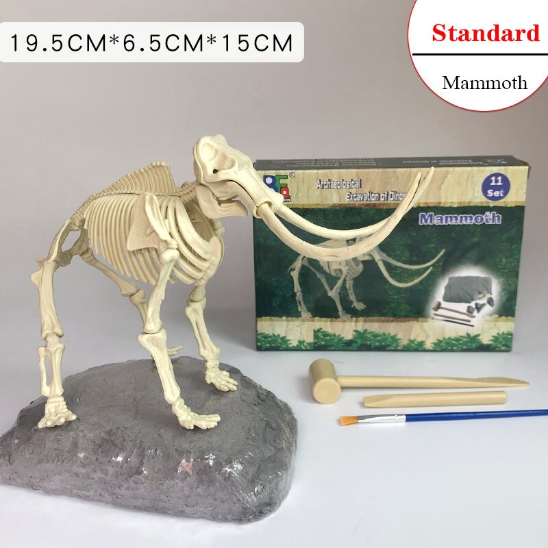 Archaeological Dinosaur Fossil Skeleton Model