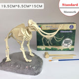 Archaeological Dinosaur Fossil Skeleton Model