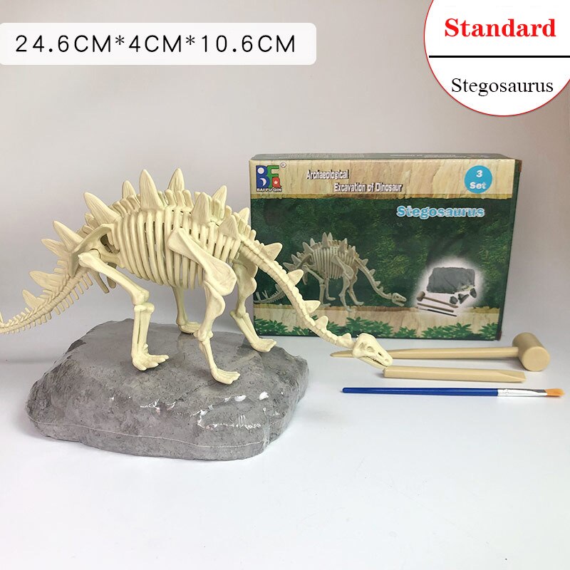 Archaeological Dinosaur Fossil Skeleton Model