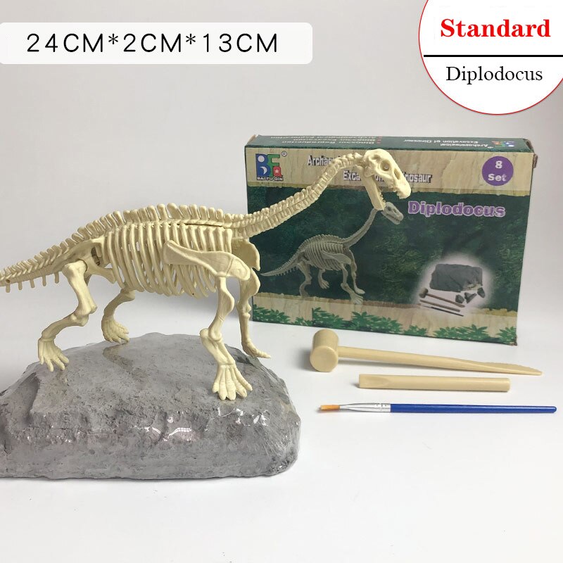 Archaeological Dinosaur Fossil Skeleton Model