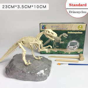 Archaeological Dinosaur Fossil Skeleton Model