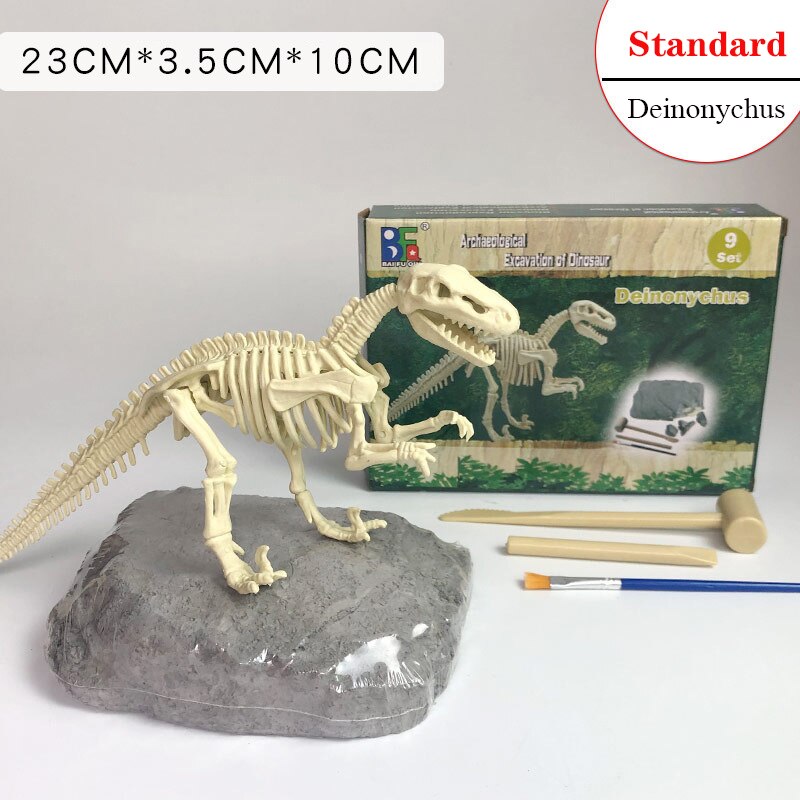 Archaeological Dinosaur Fossil Skeleton Model
