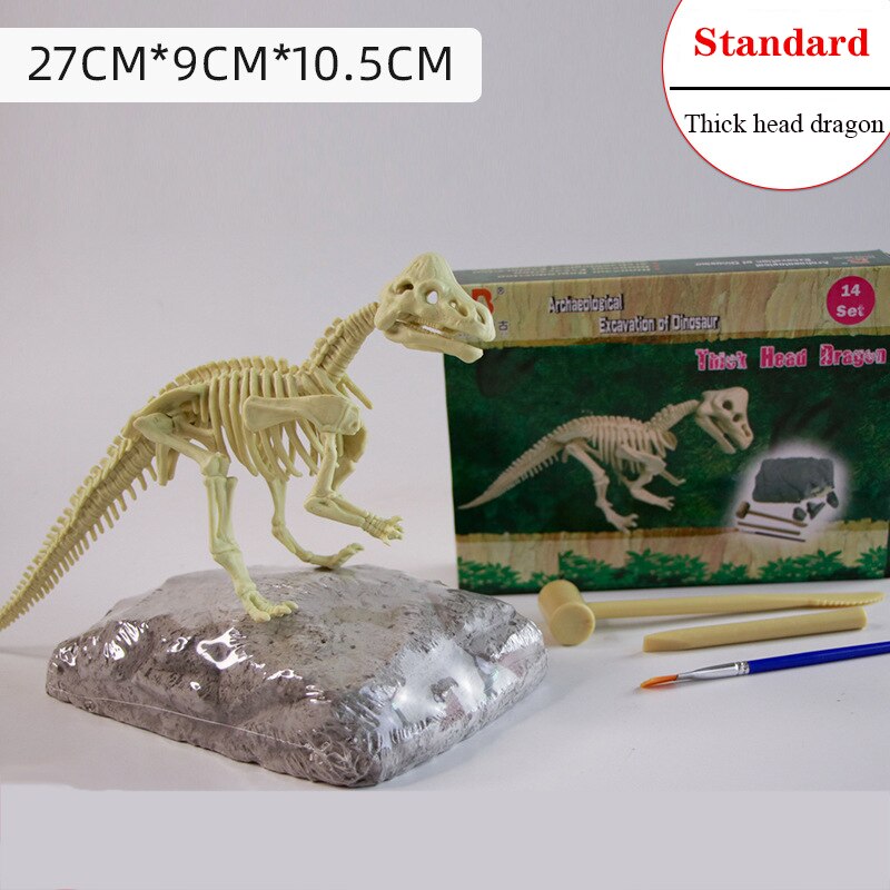 Archaeological Dinosaur Fossil Skeleton Model