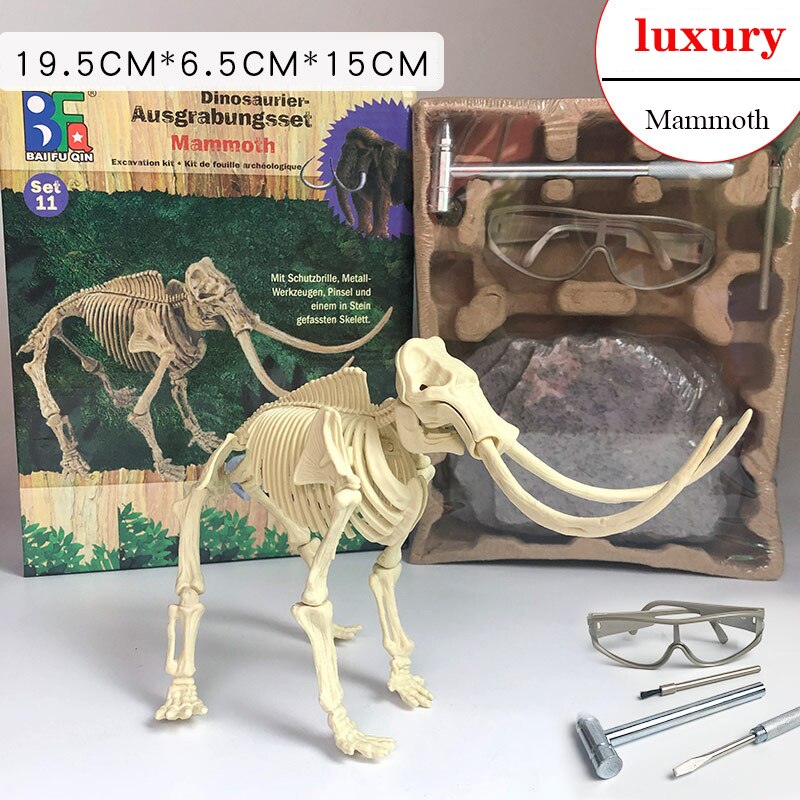 Archaeological Dinosaur Fossil Skeleton Model