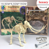 Archaeological Dinosaur Fossil Skeleton Model