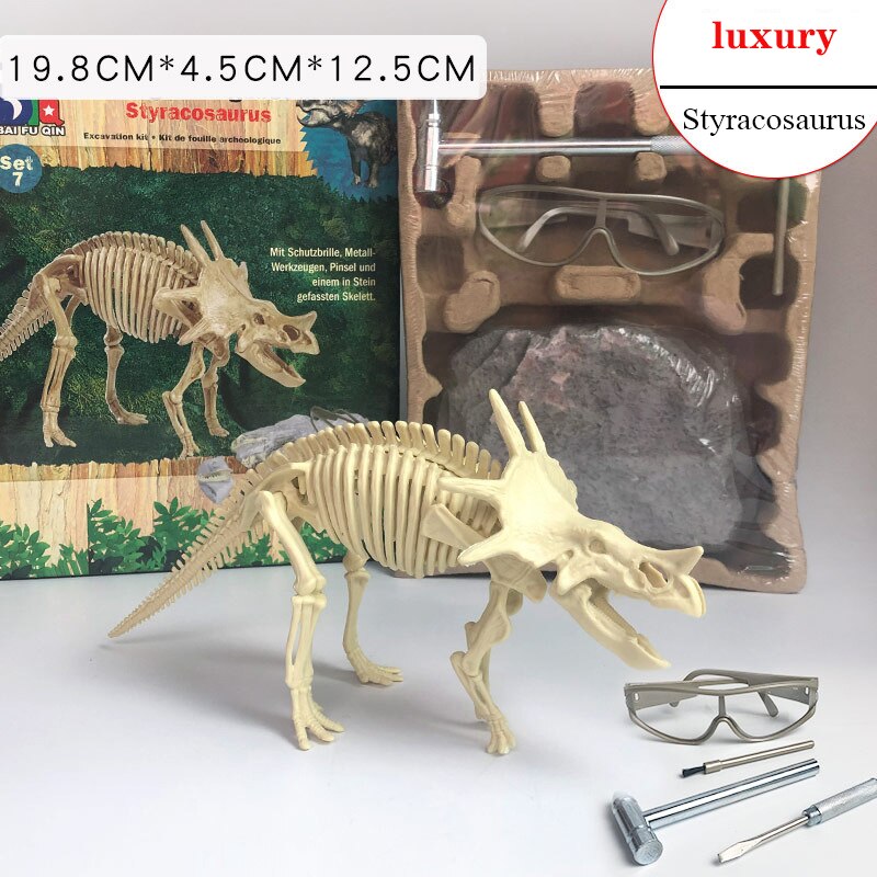 Archaeological Dinosaur Fossil Skeleton Model