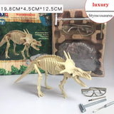 Archaeological Dinosaur Fossil Skeleton Model