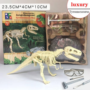 Archaeological Dinosaur Fossil Skeleton Model