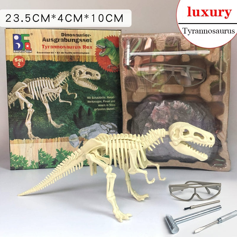 Archaeological Dinosaur Fossil Skeleton Model