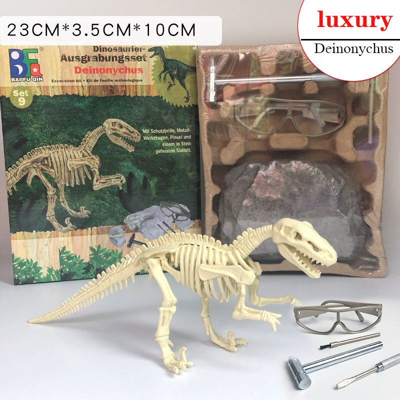 Archaeological Dinosaur Fossil Skeleton Model