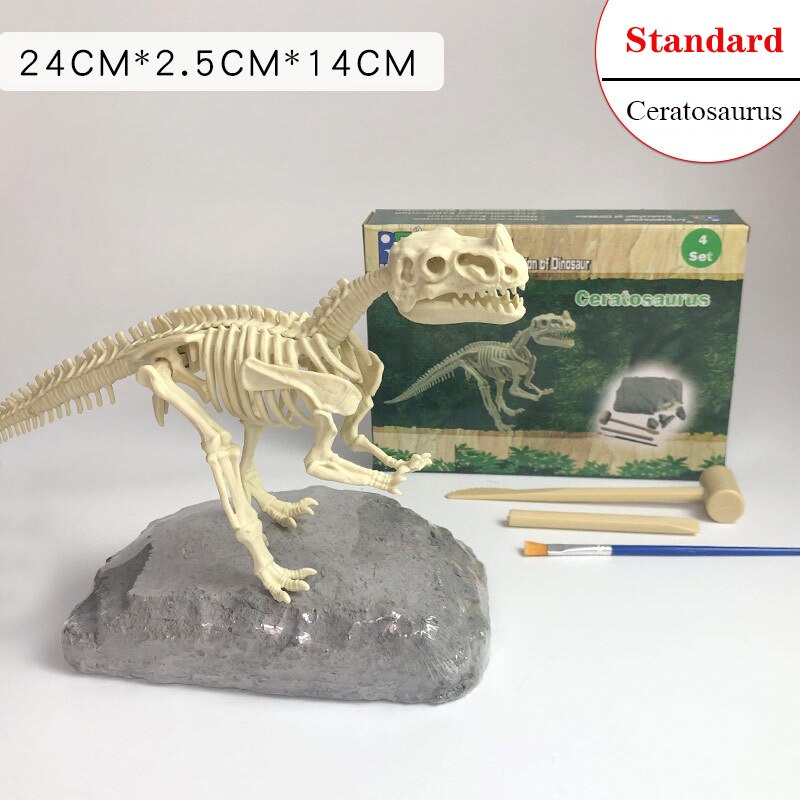 Archaeological Dinosaur Fossil Skeleton Model
