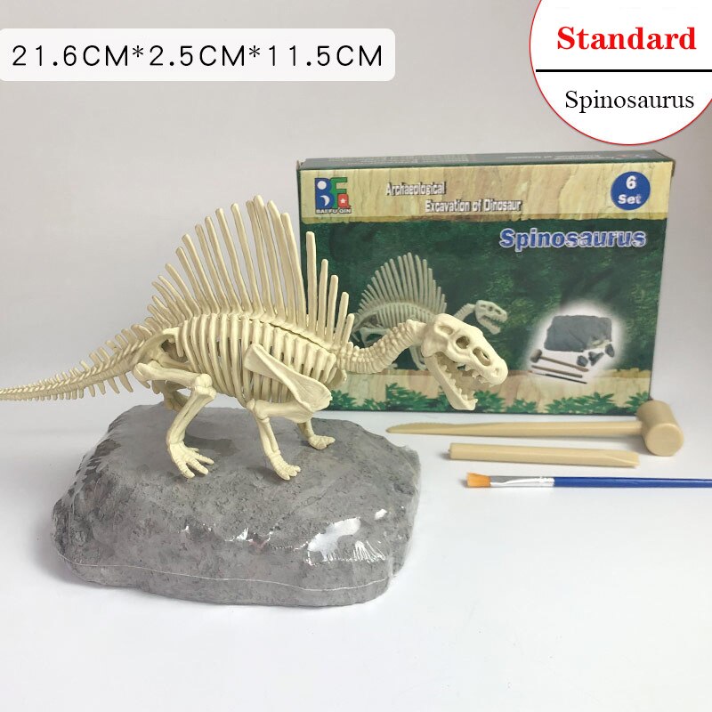Archaeological Dinosaur Fossil Skeleton Model