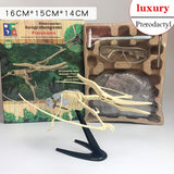 Archaeological Dinosaur Fossil Skeleton Model