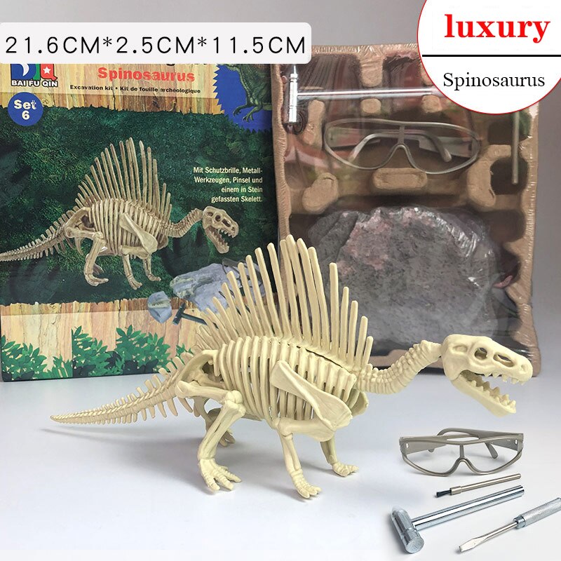 Archaeological Dinosaur Fossil Skeleton Model