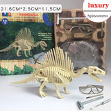 Archaeological Dinosaur Fossil Skeleton Model