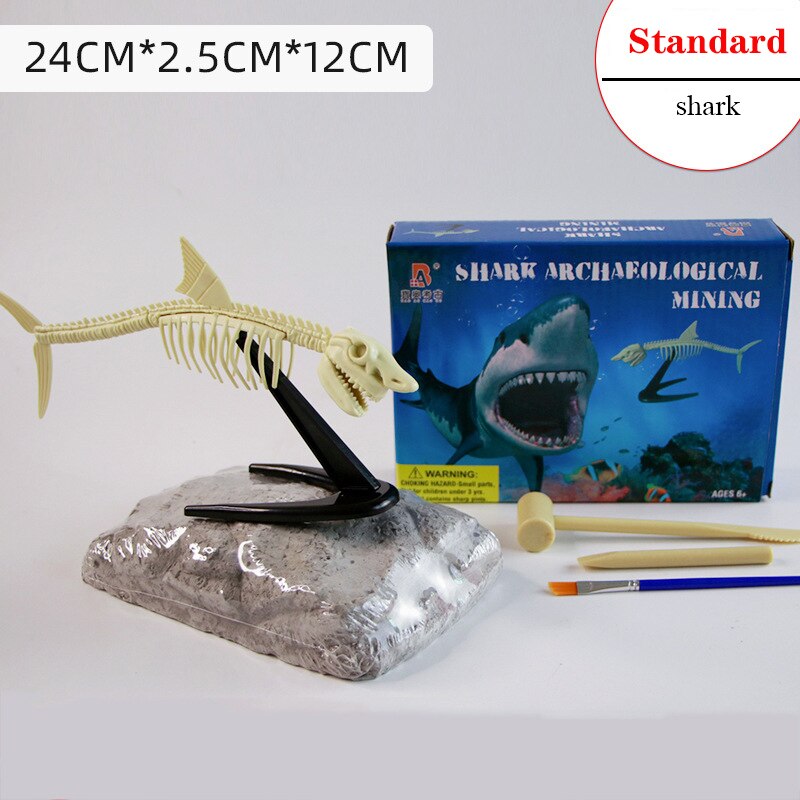 Archaeological Dinosaur Fossil Skeleton Model