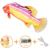 Electric Dancing Fish Baby and Pet Toy