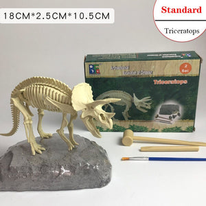 Archaeological Dinosaur Fossil Skeleton Model