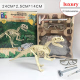 Archaeological Dinosaur Fossil Skeleton Model