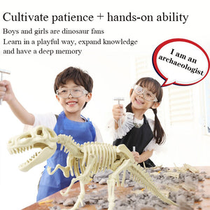 Archaeological Dinosaur Fossil Skeleton Model