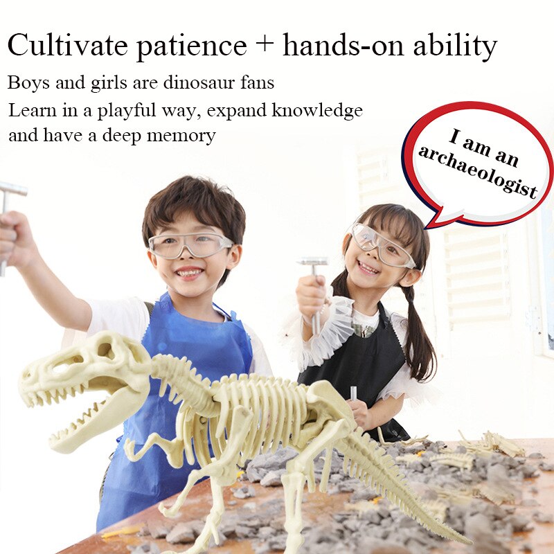 Archaeological Dinosaur Fossil Skeleton Model
