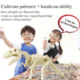 Archaeological Dinosaur Fossil Skeleton Model