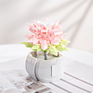 DIY Succulents Romantic Flowers Bouquet Bricks