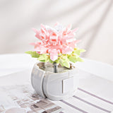 DIY Succulents Romantic Flowers Bouquet Bricks