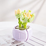 DIY Succulents Romantic Flowers Bouquet Bricks