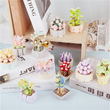 DIY Succulents Romantic Flowers Bouquet Bricks