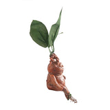 Mandrake Root Resin Statue - Handcrafted Harry Potter Inspired Garden Figurine & Indoor Mythical Plant Decor - Realistic Mandragora Herbology Art Ornament
