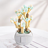 DIY Succulents Romantic Flowers Bouquet Bricks