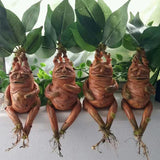 Mandrake Root Resin Statue - Handcrafted Harry Potter Inspired Garden Figurine & Indoor Mythical Plant Decor - Realistic Mandragora Herbology Art Ornament