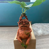 Mandrake Root Resin Statue - Handcrafted Harry Potter Inspired Garden Figurine & Indoor Mythical Plant Decor - Realistic Mandragora Herbology Art Ornament
