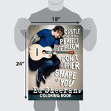 Ed Sheeran - Art Poster Wall Canvas