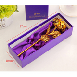 24K Golden Rose Valentine Day Gift with Box